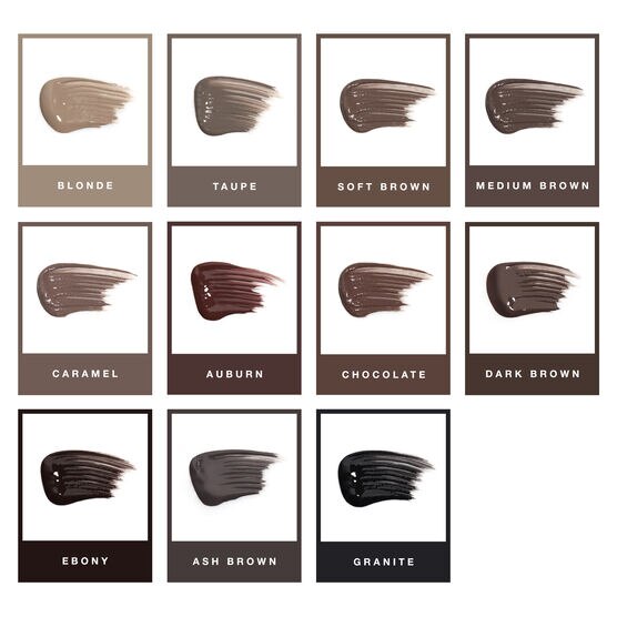 ANASTASIA  DIPBROW GEL   BROW GRANT